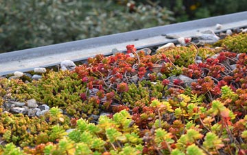 the cost of Ilminster green roof installation