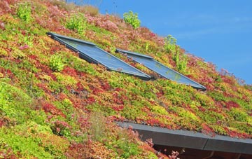 Ilminster living roof systems